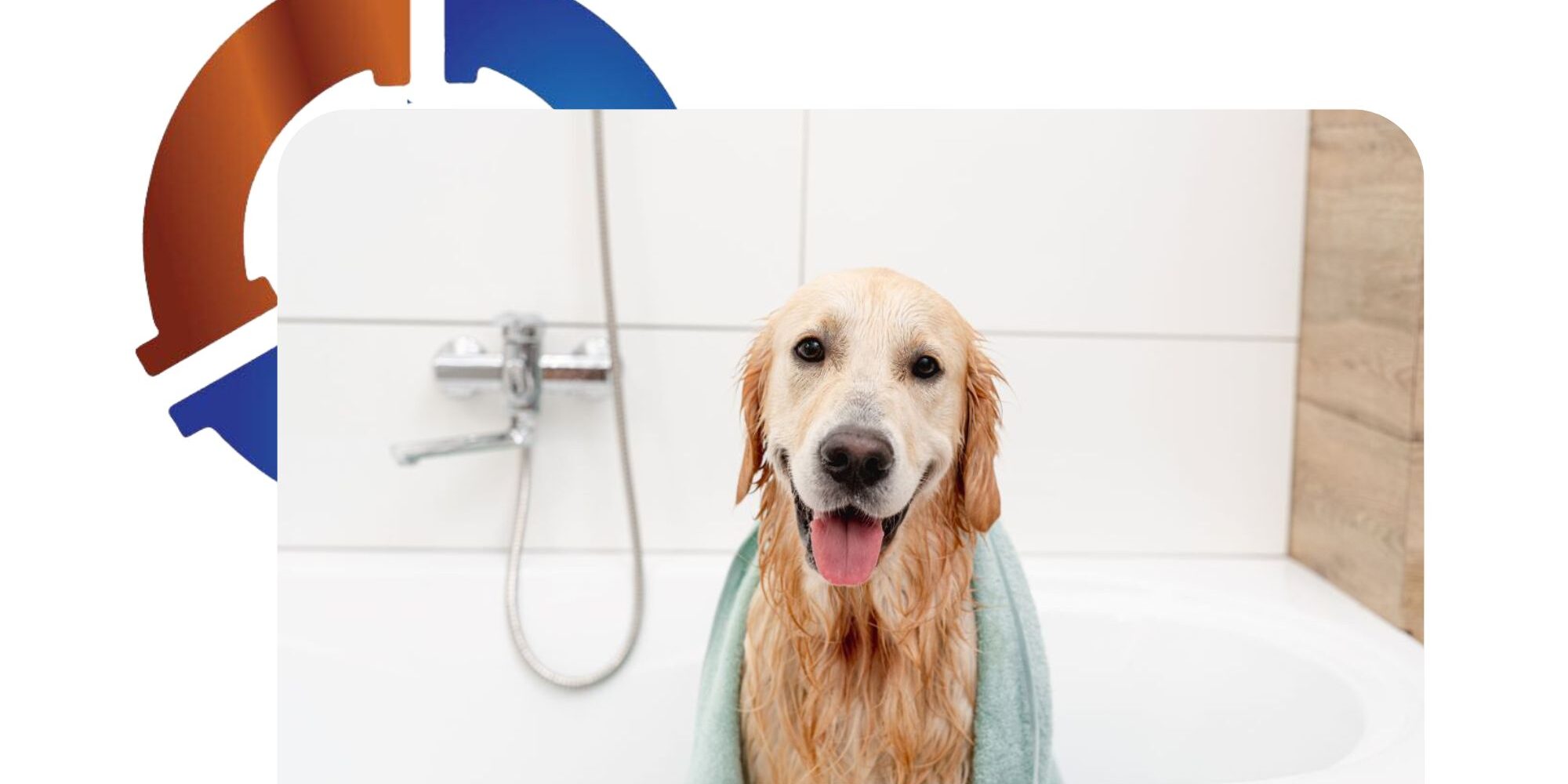 Slow Draining Tub Try This Simple Fix Before Calling a Plumber Slow Draining Tub Try This Simple Fix Before Calling a Plumber